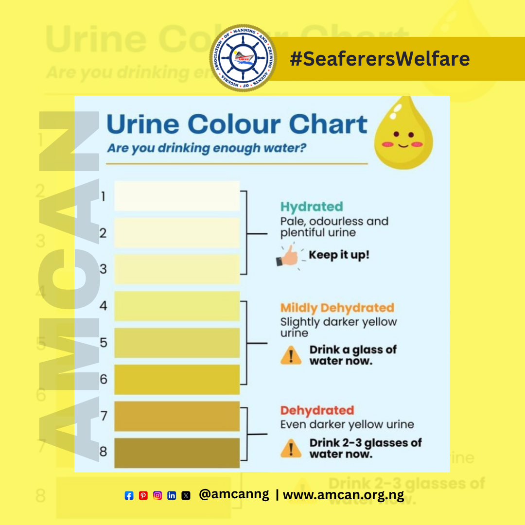 The Ocean's Silent Threat: Decoding Dehydration Through Urine Color for Seafarer Safety